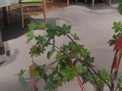 -YAFEE雅菲·粤菜·湘菜·融合菜(魏公村店)