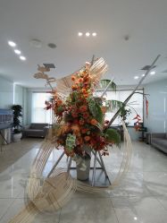 -AIST爱思特医疗美容医院