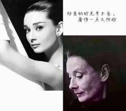 -香薇妮丝女子减肥院