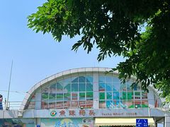 -长洲岛