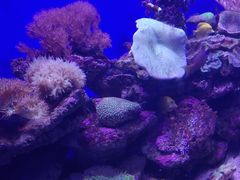 -青岛海底世界-水族馆