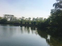 -王借岗森林公园