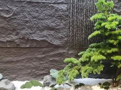 -耳妃躺式采耳SPA馆