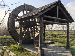 -同里国家湿地公园
