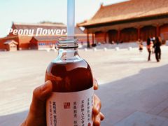 -故宫博物院(故宫)