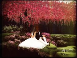 -金夫人婚纱摄影(华南店)