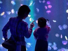 -海合安成都极地海洋公园