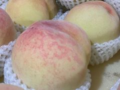 -老袁家蜜桃农场·阳山水蜜桃