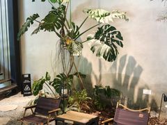 -J Create城市露营咖啡·简餐·宠物(上海动物园店)