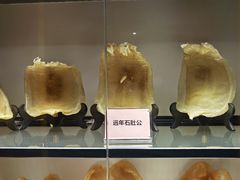 -常来小聚(丰汇时代店)