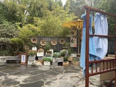 -长安先导国际创新人才交流中心