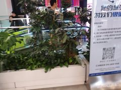 -凯德MALL(西直门店)