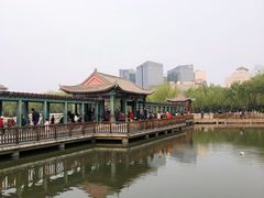 -莲花池公园