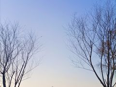 -棋盘山风景区