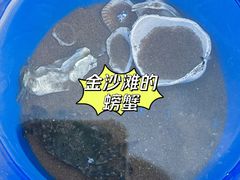 -青岛银沙滩