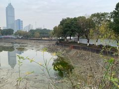-中央公园(苏州工业园区)