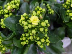 -大润发(梅兰东路店)