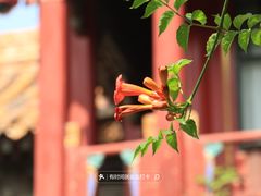 -故宫博物院(故宫)