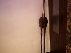 -花家怡园