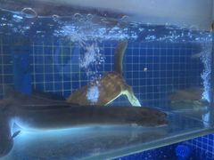 -王家大院·南京菜(湛江路总店)