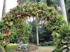 -深圳仙湖植物园