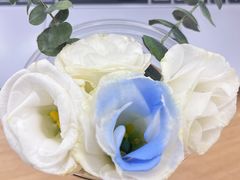 -派悦坊·甜品·蛋糕(日坛店)