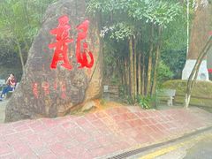 -分塔山省级森林公园