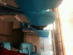 android_upload_pic-龙阳路磁悬浮列车总站-停车场