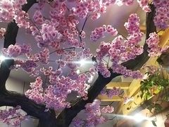 -九田家黑牛烤肉料理·自助(洪洞县城市花园店)