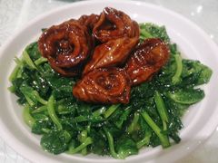 豆苗圈子-金米箩大酒店(五角场店)