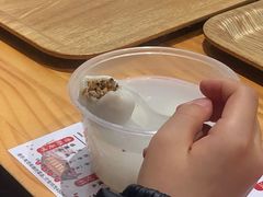 -海丝金凤(金鱼店)