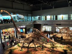 -自贡恐龙博物馆