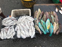 -仙本那小型鱼市