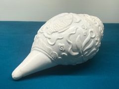 -青岛贝壳博物馆