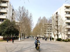 -山东理工大学