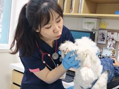 -美联众合动物医院·24h京西诊疗中心