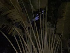 -Carpe Diem精酿空间