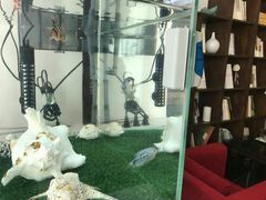 -岸芷汀兰·法餐牛排