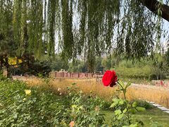 -元大都城垣遗址公园