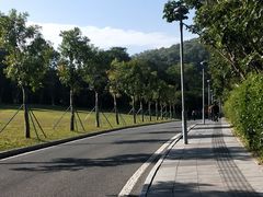 -东莞植物园
