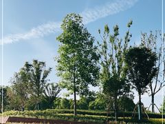 -上海山野camping·户外天幕烧烤·团建拓展营地