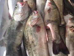 -宏源鑫海鲜餐厅·海景婚宴厅(石老人店)