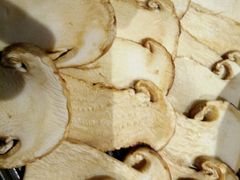 -黔蘑菇四季餐厅(观山湖店)