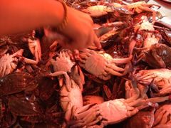 -春华海鲜城(广场西苑店)