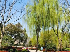-南翔镇银翔湖公园