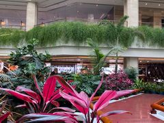 -广州白天鹅宾馆