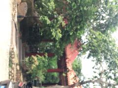-大地土窑菜馆·特色罗浮农家菜(罗浮山景区店)
