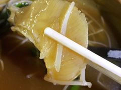 -大中鱼翅 Taitong Shark Fin