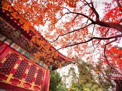 -香山公园