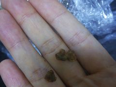 -西点坊(浦东香格里拉店)